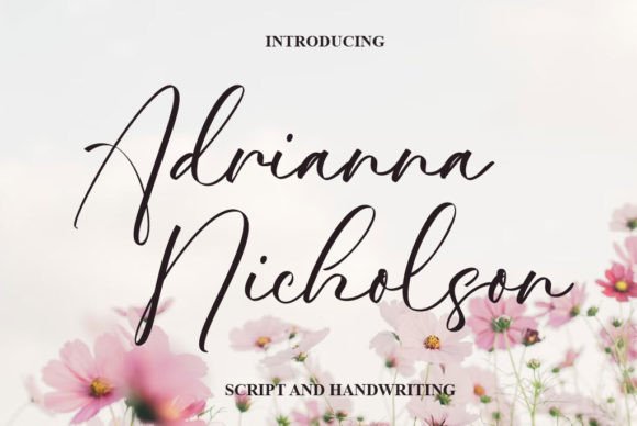 Adrianna Nicholson: The Script Font That Elevates Campaigns
