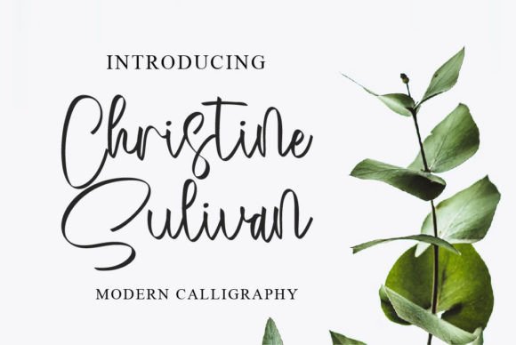 Christine Sulivan Font: A Branding Upgrade for Small Business